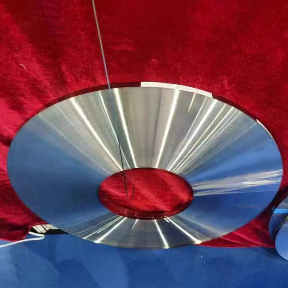 Stainless Spring Steel Strip