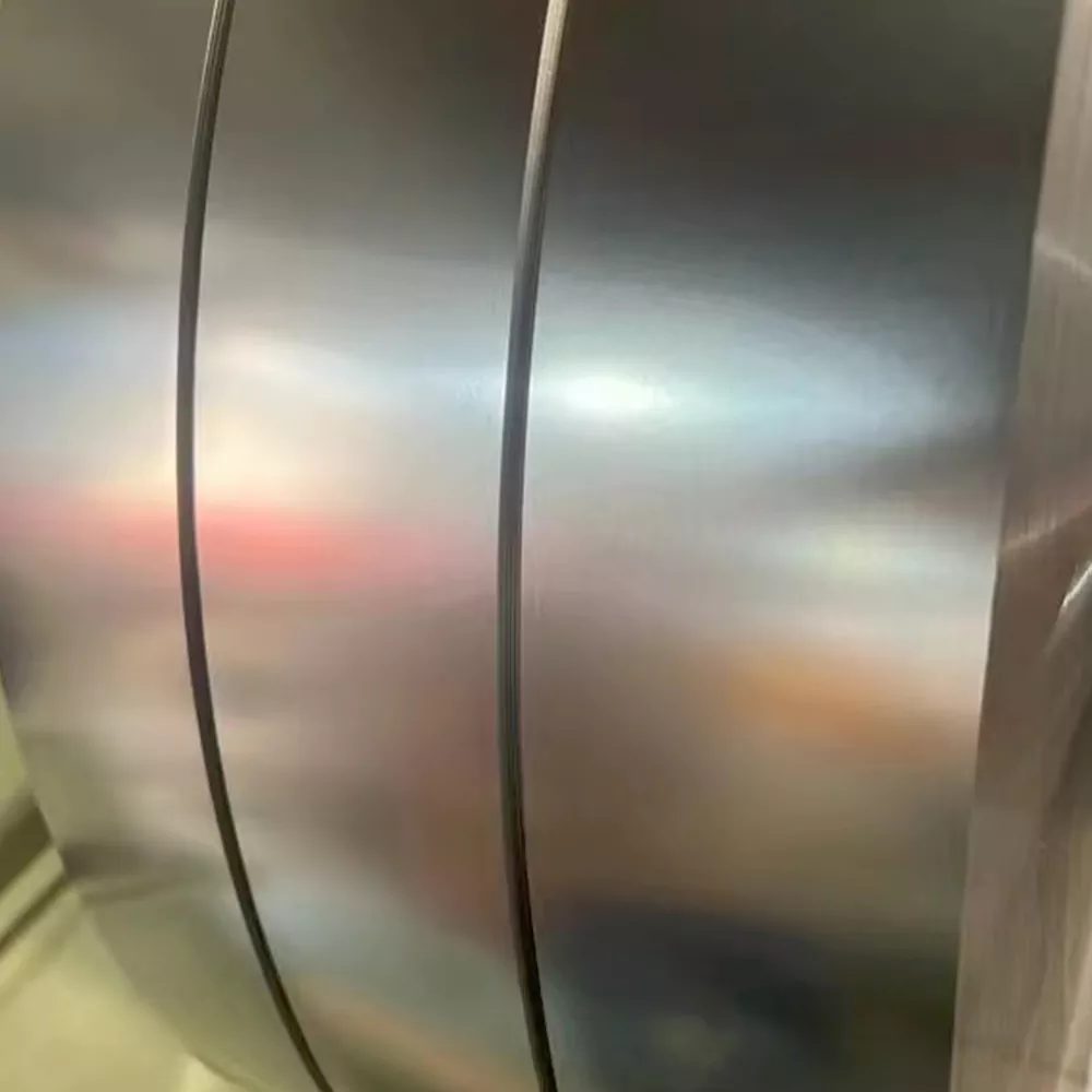 top Stainless Spring Steel Strip
